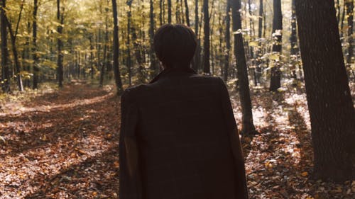 有关人, 女人, 快乐的免费素材视频