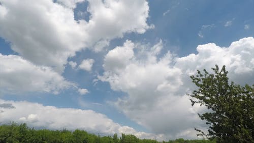 有关低角度拍摄, 多云的, 多云的天空的免费素材视频