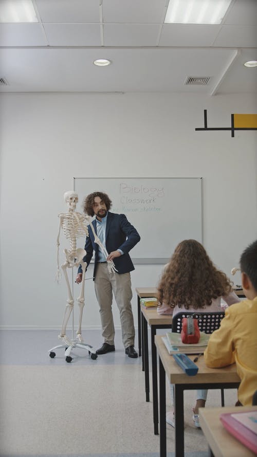 有关人体骨骼, 回到学校, 垂直视频的免费素材视频