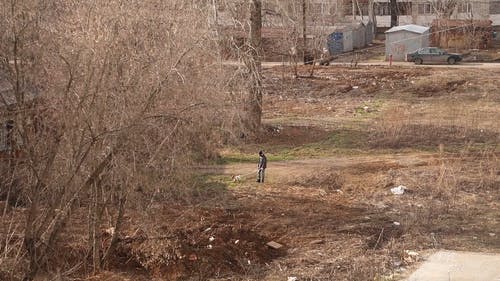 有关人, 人类最好的朋友, 休闲的免费素材视频