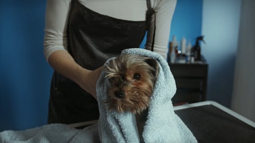 有关乾燥, 人, 冷的免费素材视频