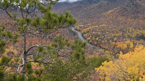 有关atmosfera de outono, 天性, 景观的免费素材视频