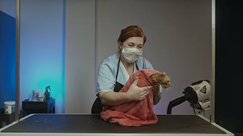 有关人, 可爱, 可爱的的免费素材视频