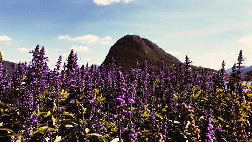 有关山, 工厂, 户外的免费素材视频