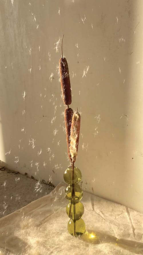 有关＃室内, 在家, 室内的免费素材视频