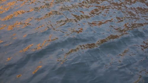 有关俯视图, 天性, 从上面的免费素材视频