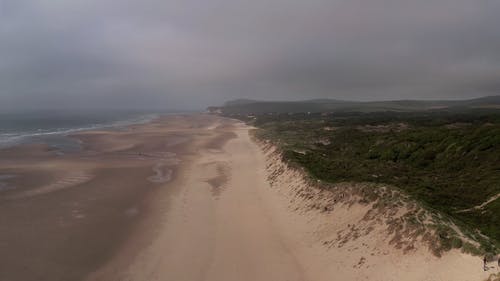 有关天性, 从上面, 海滩的免费素材视频