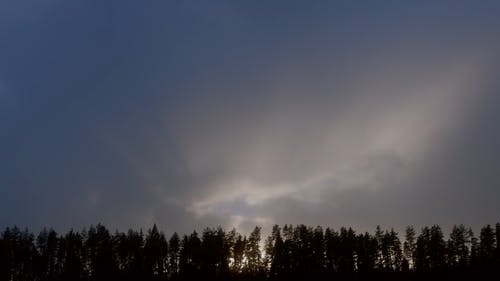 有关下落, 剪影, 天空的免费素材视频