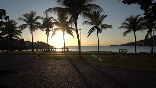 有关和平的, 天性, 岩石海岸的免费素材视频