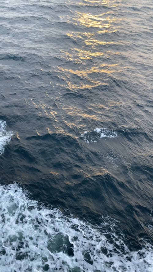 有关垂直视频, 多云的, 天性的免费素材视频