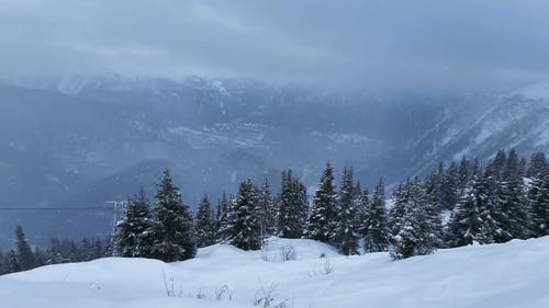 有关下雪, 冬季景观, 大雪覆盖的免费素材视频