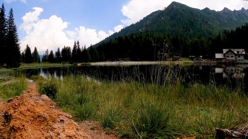 有关尘土, 天性, 思考的免费素材视频