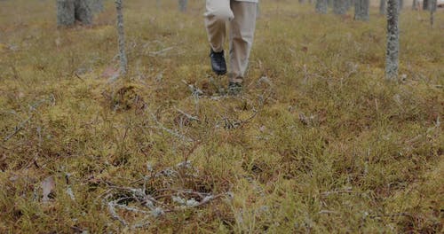 有关天性, 工厂, 户外的免费素材视频