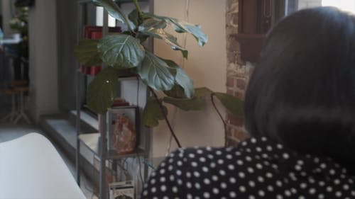 妇女正在讨论的录像带 · 免费素材视频