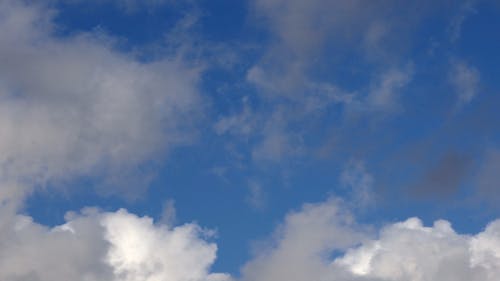 有关天堂, 天性, 天气的免费素材视频