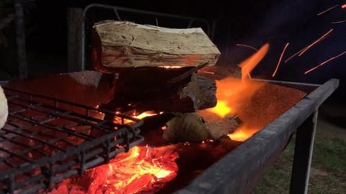 有关南非, 原本, 户外的免费素材视频