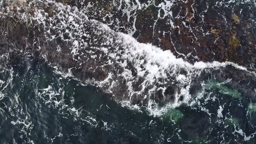 有关和平的, 天性, 岸边的免费素材视频