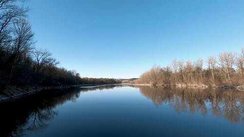 有关birds_flying, 和平的, 天性的免费素材视频