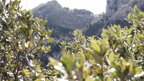 有关前景, 天性, 山的免费素材视频