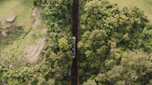有关交通方式, 树木, 空中拍摄的免费素材视频