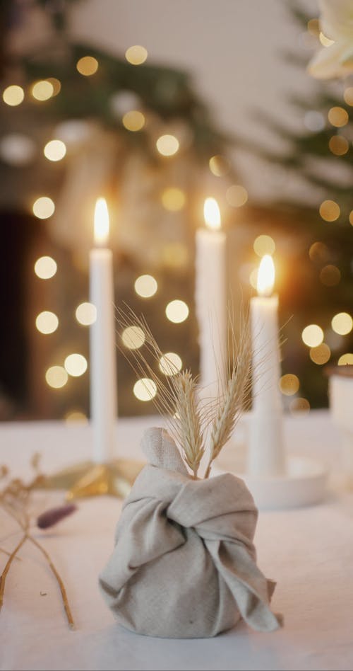 有关包装纸, 垂直视频, 室内的免费素材视频