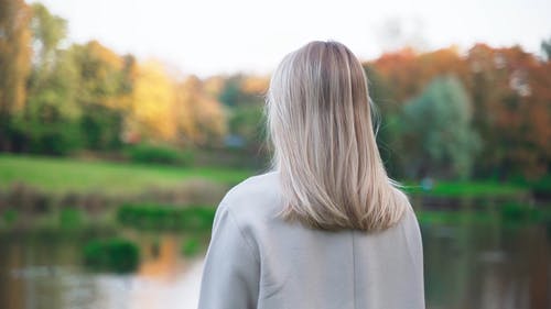 有关优雅, 公园, 可爱的免费素材视频