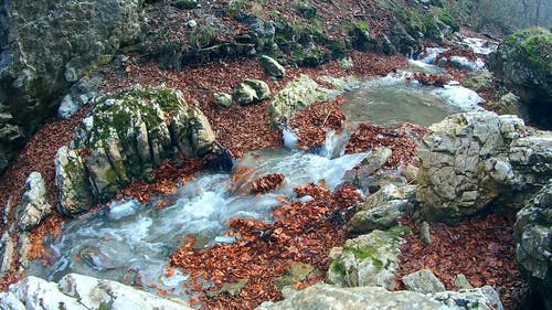 有关4k, 天性, 小河的免费素材视频