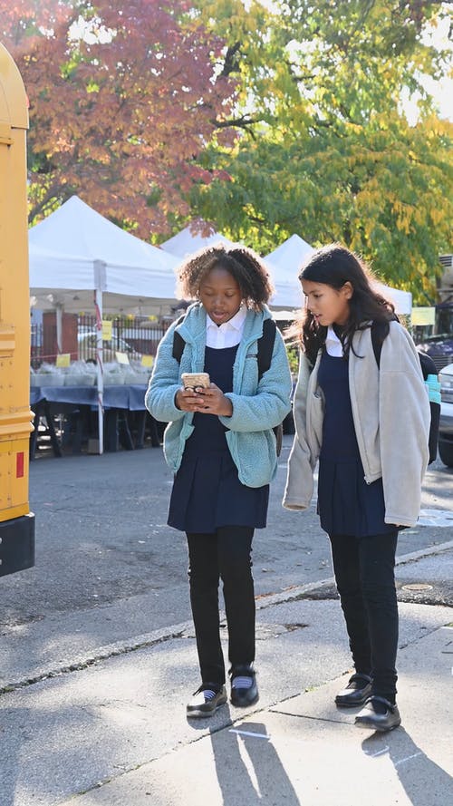 有关回到学校, 垂直, 孩子的免费素材视频
