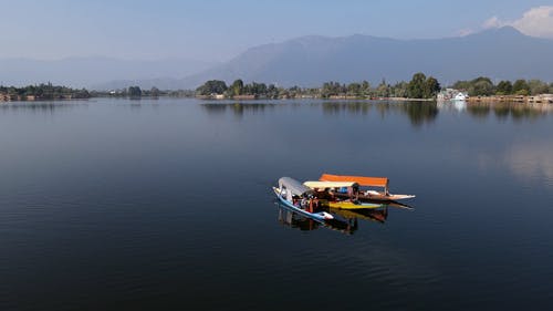 有关中等人群, 户外, 树的免费素材视频
