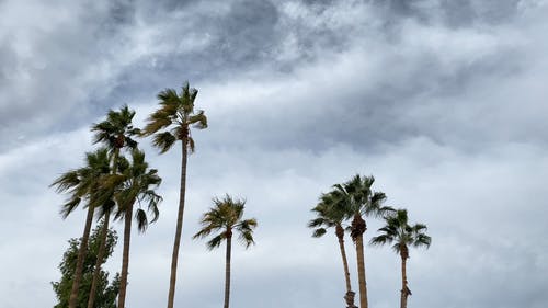 有关低角度拍摄, 多云的, 多风的免费素材视频