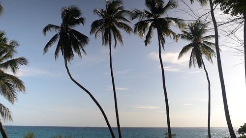 有关加勒比海, 地平线, 夏天的免费素材视频