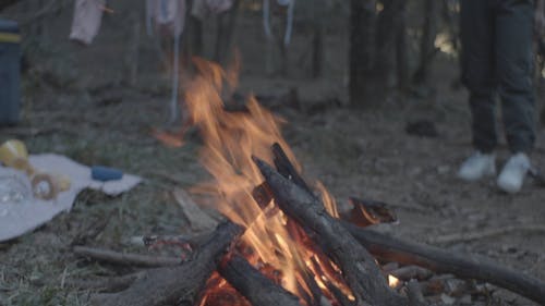 有关冒险, 天性, 年轻的免费素材视频
