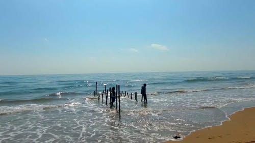 有关一对, 人, 剪影的免费素材视频