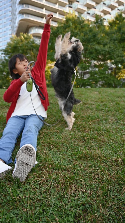 有关伴侣, 儿童, 坐的免费素材视频