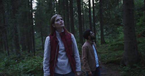 有关一对, 健行, 冒险的免费素材视频