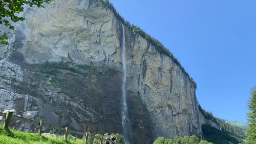 有关低角度拍摄, 天性, 户外的免费素材视频