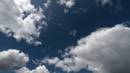 有关天性, 延时视频, 户外的免费素材视频
