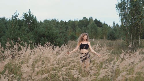 有关土地, 多风, 天性的免费素材视频