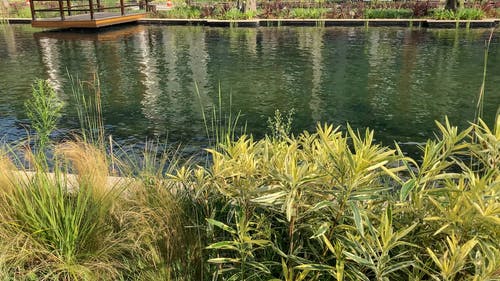 有关人造, 公园, 反射的免费素材视频