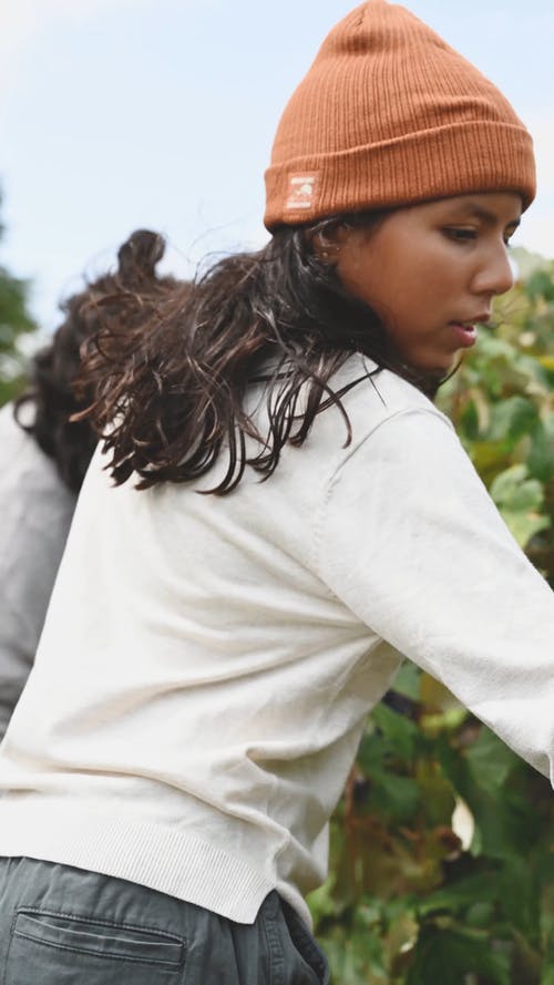 女工收割葡萄园 · 免费素材视频