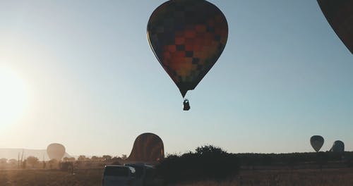 有关冒险, 户外, 树木的免费素材视频