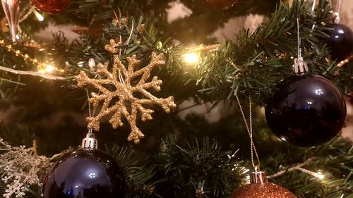 有关特写, 耶誔球饰品, 圣诞树的免费素材视频