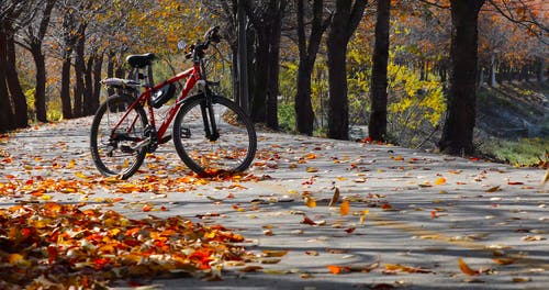 有关BMX, 下落, 停的免费素材视频