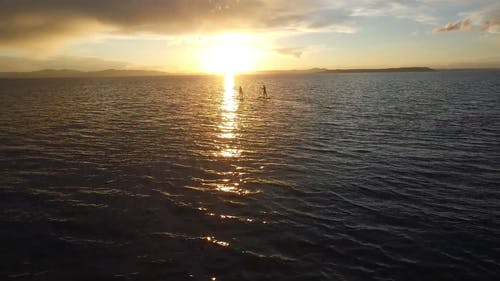 有关划船, 剪影, 反射的免费素材视频