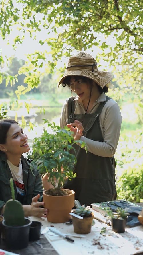 有关修剪花草, 嗜好, 坐的免费素材视频