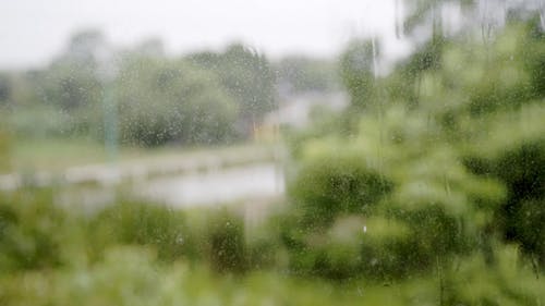 有关下雨, 多雨的, 水滴的免费素材视频
