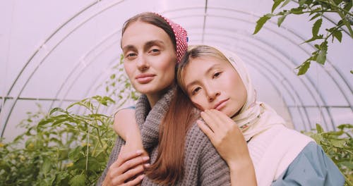 有关修剪花草, 园丁, 增长的免费素材视频