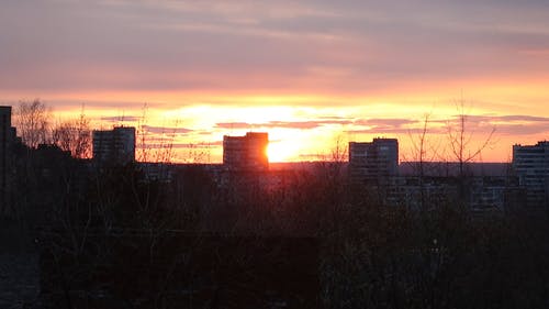 有关光秃秃的树木, 太阳, 建筑的免费素材视频