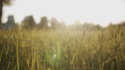 有关太阳, 建筑, 户外的免费素材视频