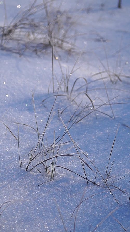 有关冬季, 冷, 地面的免费素材视频